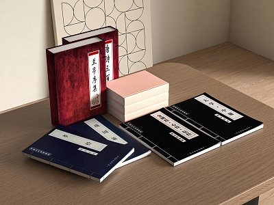 New Chinese Books 3d model