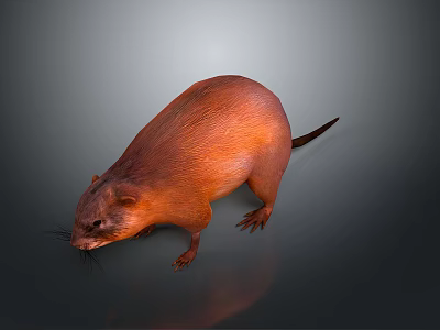 Orange Beaver like Rodent 3D Modeled Realistic Game Movie Character Design 3d model