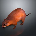 Orange Beaver like Rodent 3D Modeled Realistic Game Movie Character Design 3d model