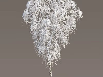 Beautiful Snow Covered Tree With Drooping Branches And Textured Trunk 3d model