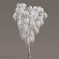 Beautiful Snow Covered Tree With Drooping Branches And Textured Trunk 3d model