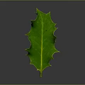 Vibrant Green Spiky Plant Leaf With Yellow Edges On Dark Background