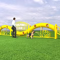 Interactive Dog Park Playground With Yellow Obstacles Green Grass And Playful Dogs