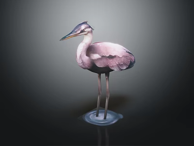Pink and Purple Heron with Long Legs Standing on Transparent Base Against Dark Background 3d model
