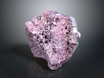 Natural Purple Wood Stone With Porous Surface And Unique Hole Patterns 3d model