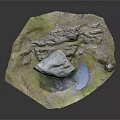 Natural Wood and Stone Decorative Landscape With Small Pond and Green Moss Elements
