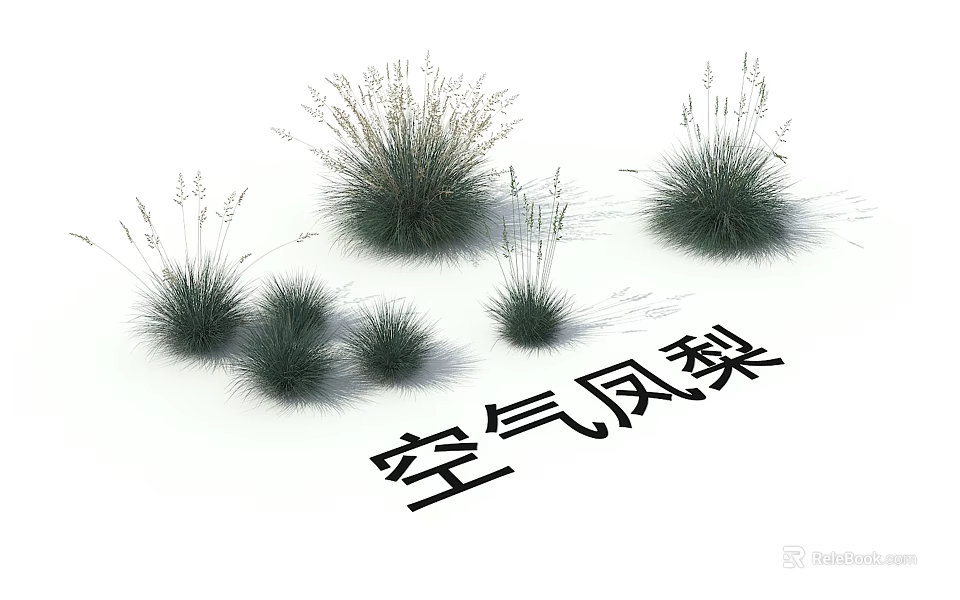 Air Plants Various Sizes And Lush Green Foliage For Indoor Decoration 3d model 