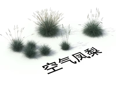 Air Plants Various Sizes And Lush Green Foliage For Indoor Decoration 3d model