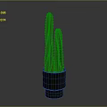 Green Cactus Plant With Upright Stems In Metallic Silver Pot On Minimalist Gray Background