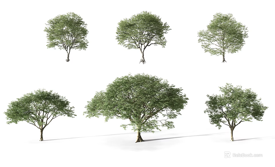 Arbor Trees With Various Shapes Lush Green Foliage And Strong Trunks 3d model