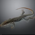 Vibrant Lizard With Blue Spots Orange Tail And Gray Body On Dark Surface