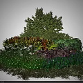 Lush Garden Shrubs with Colorful Foliage Stones and Green Ground Cover