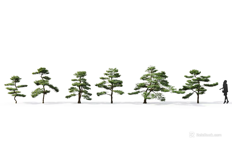 Arbor Trees With Diverse Branch Shapes In Outdoor Landscape Setting 3d model 