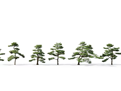 Arbor Trees With Diverse Branch Shapes In Outdoor Landscape Setting 3d model
