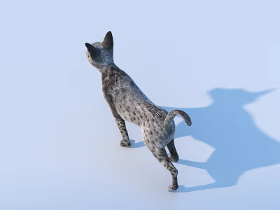 3D Model of Spotted Cat Standing on Light Blue Background with Shadow 3d model