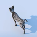 3D Model of Spotted Cat Standing on Light Blue Background with Shadow 3d model
