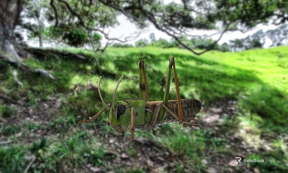 Green Lizard In Natural Habitat With Lush Green Grass And Trees 3d model 