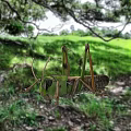 grasshopper cricket insect 3d model