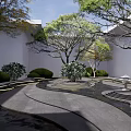 Karesansui Dry Landscape Garden with Curved Gray Pathways Pruned Shrubs and Stone Lanterns