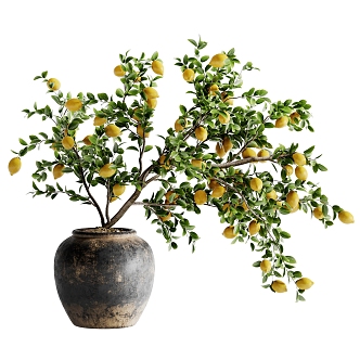 Modern Plant Potted Lemon Tree 3d model