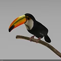 Toucan with Vibrant Orange Yellow Beak Perched on Wooden Branch Against Dark Background