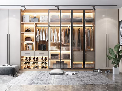 Modern Wardrobe Interior Design With Glass Doors Hanging Clothes Drawers LED Lighting And Shoe Storage 3d model