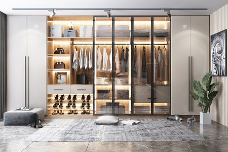 Light Luxury Wardrobe 3d model