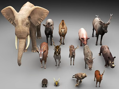 animal elephant pig model camel model turtle model bee model antelope model rhino model 3d model