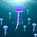 Group of Purple Jellyfish Floating in Deep Blue Ocean Water with Sunlight Rays