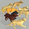 Low Poly Style Dogs in Various Colors and Different Poses on Gray Background 3d model