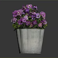 Vibrant Purple And Pink Flowers In Silver Metal Bucket With Green Leaves On Dark Background