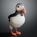 Soft Puffin Plush Toy With Black White Feathers And Orange Beak Feet