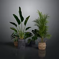 Indoor Plant Arrangement With Large Leaf And Palm Plants In Woven And Concrete Planters