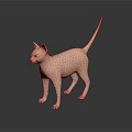 Pink Hairless Sphynx Cat Standing On Black Surface With Reflection And Grey Background
