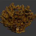 Vibrant Yellow Coral Polyps Marine Animal With Branched Textured Structure On Dark Background