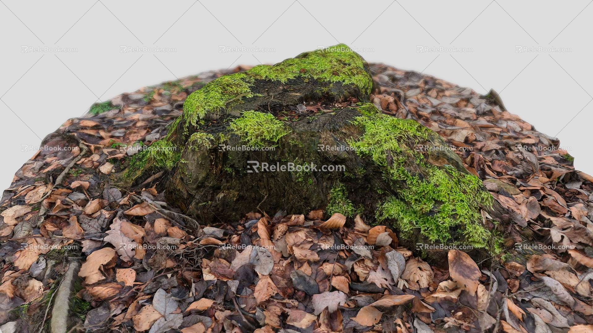 Rock Reef Stone Block Moss Stone Leaves Leaves Pile Leaves Stump 1 3d model