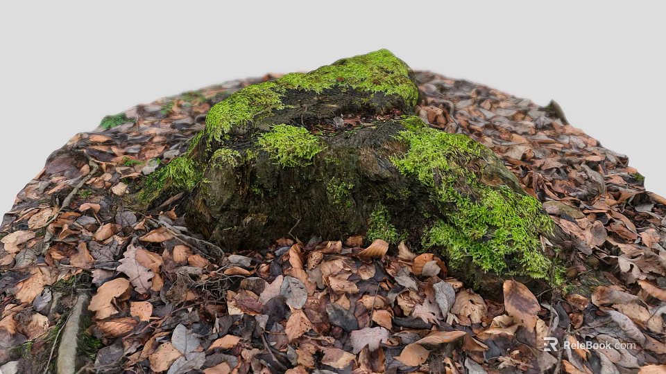 Stone and Wooden Log Covered with Green Moss Surrounded by Brown Fallen Leaves 3d model 