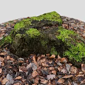 Stone and Wooden Log Covered with Green Moss Surrounded by Brown Fallen Leaves
