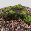 Rock Reef Stone Block Moss Stone Leaves Leaves Pile Leaves Stump 1 3d model