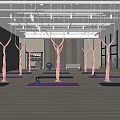 Spacious Aerial Yoga Studio With Pink Hammocks Yoga Mats And Kettlebells