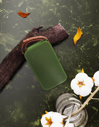 Green Speaker Decorative Ornament Set With Log Wood Dried Leaf White Flower And Marble Texture 3d model