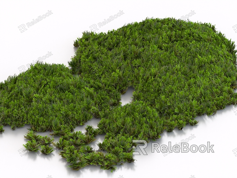 moss moss grass ground lawn turf plant duckweed plant pile shrub model