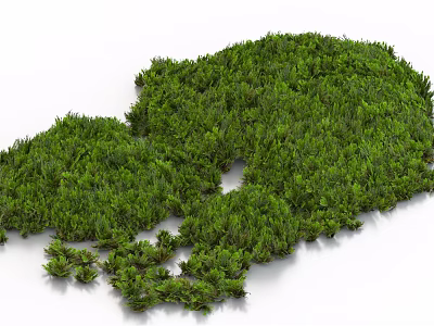 Natural Dense Vibrant Green Mossy Grass with Irregular Shape on White Background 3d model