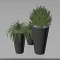Lush Green Plants Arrangement With Fern And Bush In Gray Concrete Pots
