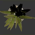 Long Leaf Green Houseplant In White Textured Round Pot On Dark Background