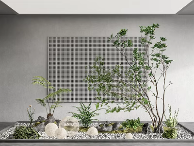 Courtyard Garden Design With Tree Ferns Stones White Spherical Decorations Grid Background And Gray Wall 3d model