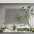 Courtyard Garden Design With Tree Ferns Stones White Spherical Decorations Grid Background And Gray Wall