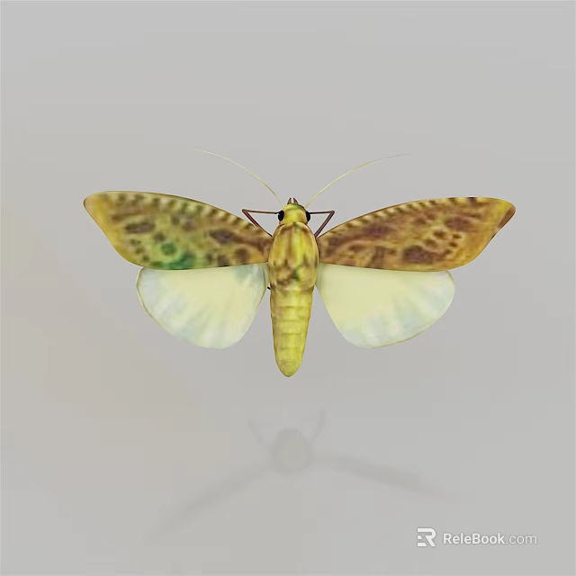 Moth With Yellow Body And Brown Green Spotted Translucent Wings On Gray Background 3d model 