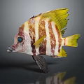 Vibrant Striped Fish With Yellow Fins Blue Eyes And Colorful Scales