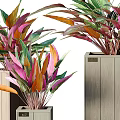 Colorful Flowers and Plants Displayed in Wooden Square Pots of Various Sizes